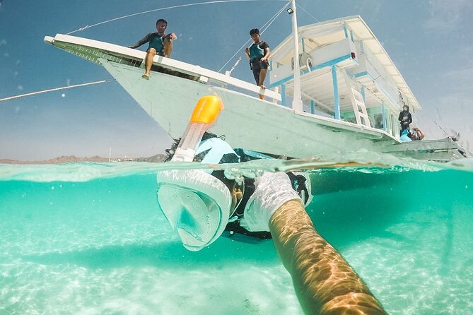 Snorkeling with turtle and statue in Gilis - Price and value: what $55 includes, and why it can be worth it