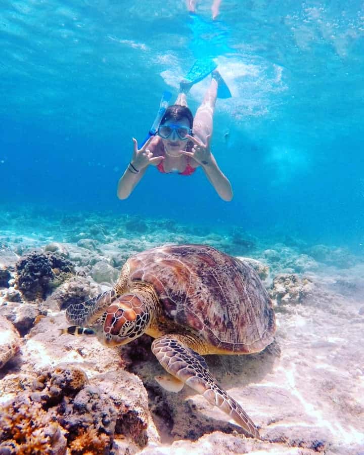 Snorkelling Gili Trawangan, Gili Air & Gili Meno from Lombok - Gili Meno underwater statues and reef snorkeling when you want calmer water time