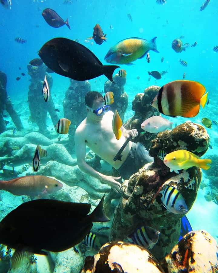 Snorkelling Gili Trawangan, Gili Air & Gili Meno from Lombok - Gili Air fish feeding, Rinjani views, walking time, and lunch that breaks up the day
