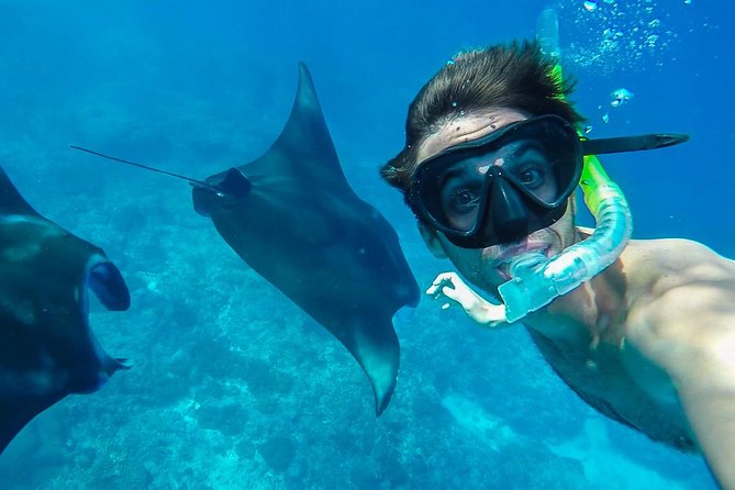 Snorkelling in Nusa Penida - Manta Point - Getting From Sanur to Nusa Penida: The 45 Minute Boat Ride