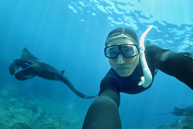Snorkelling in Nusa Penida - Manta Point - Manta Point: Why This Site Is the Main Event