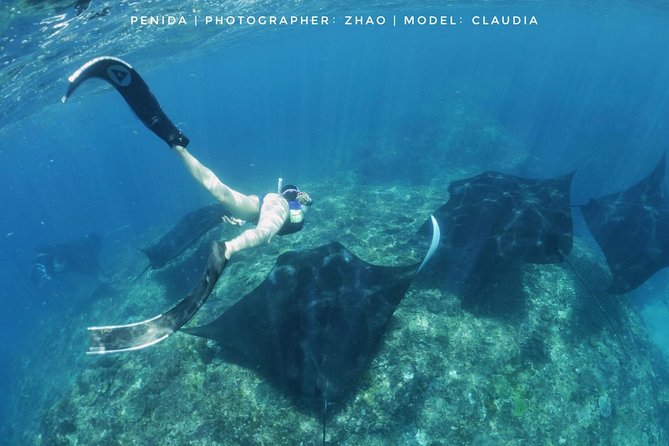 Snorkelling in Nusa Penida - Manta Point - Price and Value: What $150 Covers (and What You’ll Still Pay)