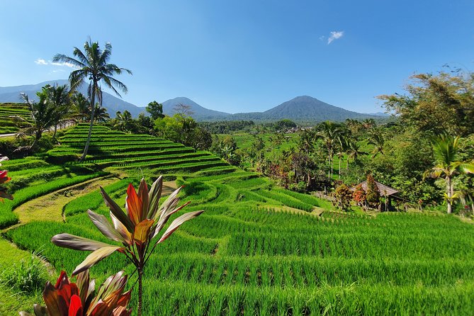 Solo or Group Tour - 10 Hours, 5 Persons Max - What you’ll see: top Bali landmarks plus quieter, crowd-smart stops