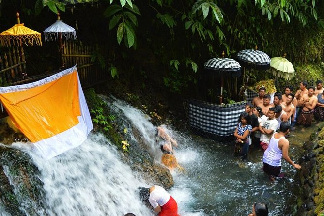 Spiritual Purification and Local Healer Visit Tour (ALL INCLUDED) - Gunung Kawi Sebatu: holy spring purification in water