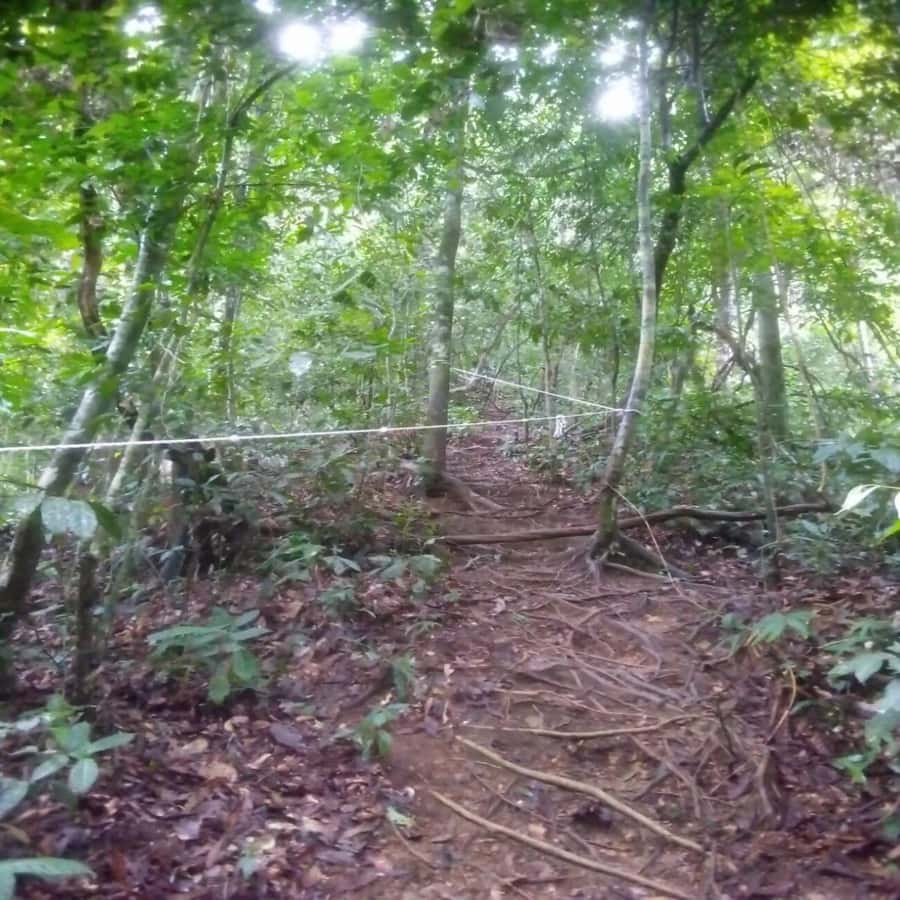 Sumatra: 3-Day Unique Jungle Experience & Exploring Wildlife - Price and value: is $200 per person actually fair here?