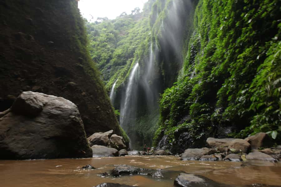 Surabaya: Bromo Sunrise & Madakaripura Falls Full-Day Tour - Price and what you actually get for $184