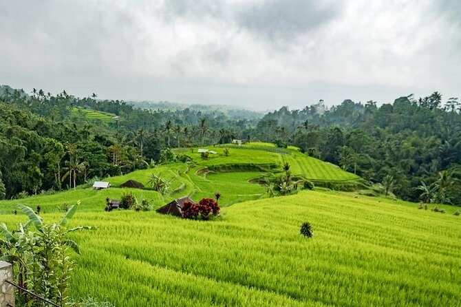 Tanah Lot and North Bali Tour: Scenic Journey - Banyumala Twin Waterfalls: swim time, plus steep, tricky steps