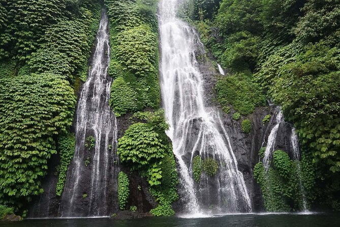 Tanah Lot and North Bali Tour: Scenic Journey - Price and what you actually get for $100