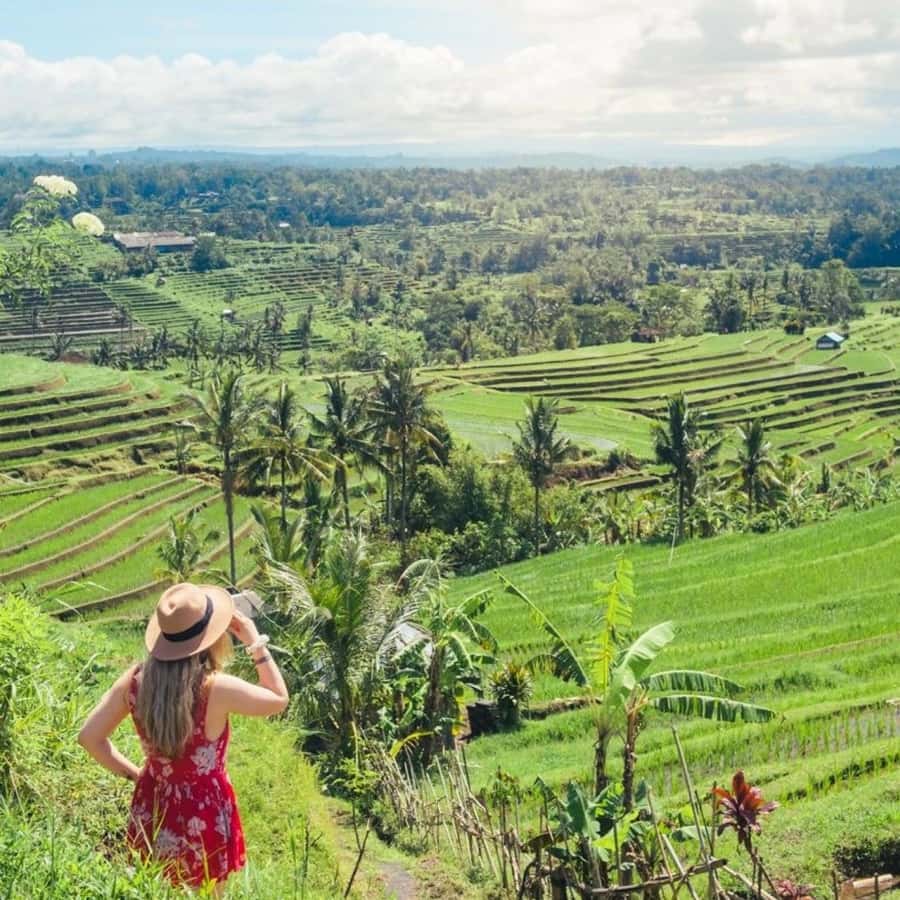 Tanah Lot-Nung Nung Waterfall-Jatiluwih and Bedugul - Key things to know before you go