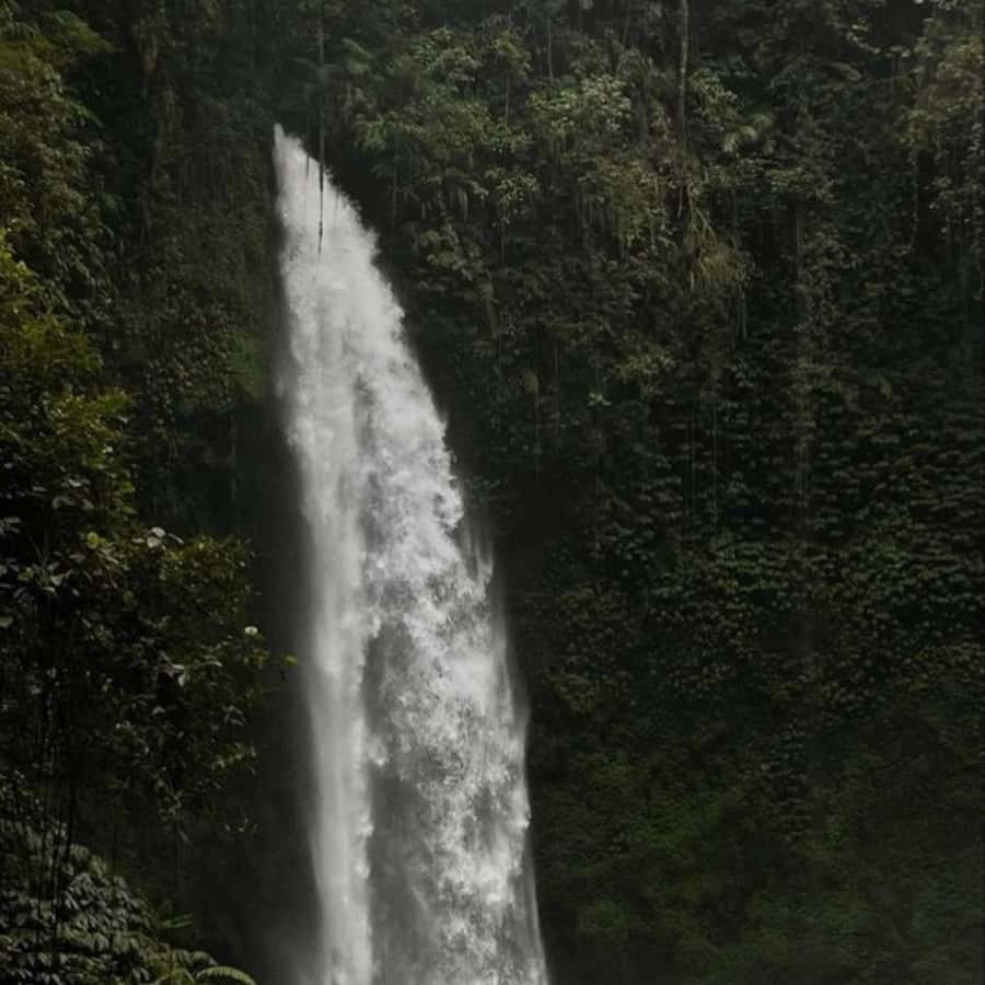 Tanah Lot-Nung Nung Waterfall-Jatiluwih and Bedugul - Tanah Lot Temple at the south coast: why the timing is everything