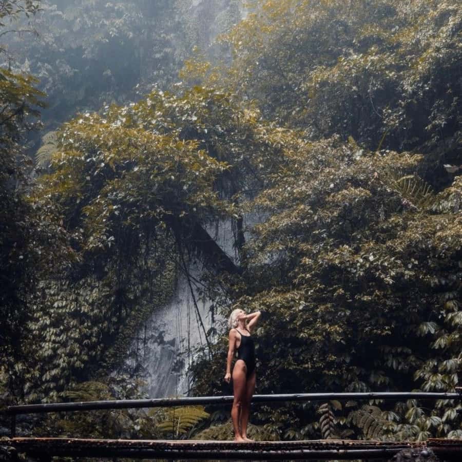 Tanah Lot-Nung Nung Waterfall-Jatiluwih and Bedugul - Who this tour suits best