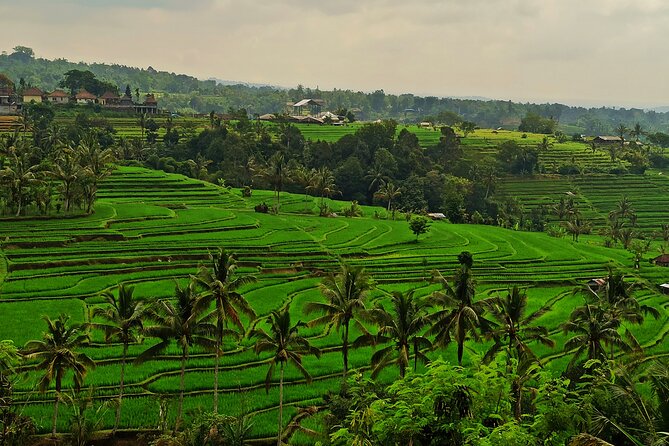 Tanah Lot Tour: Discover Bali’s Iconic Temple and Stunning Views - Stop 2: Tanah Lot Temple on its rock in the Indian Ocean