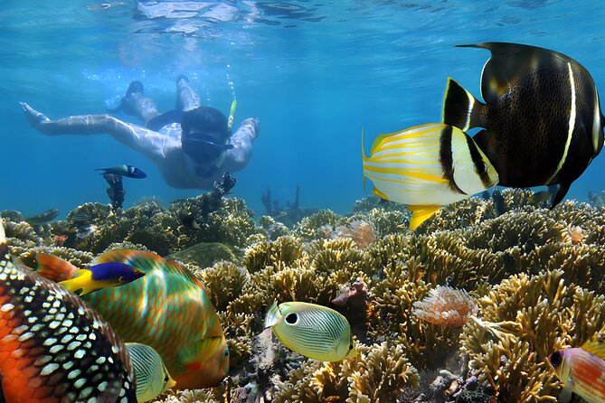 Tanjung Benoa Water Sports: All Inclusive Bali Activities - Other Water Options Listed, and How to Choose Without Overbuying
