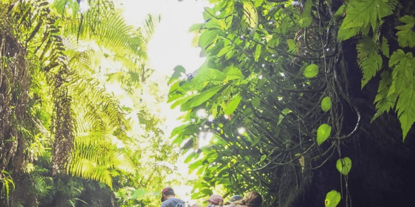 Tetebatu: Rice Fields, Waterfall, & Monkey Forest Day Tour - The Walking Flow: Rice Fields, Village Lanes, and Local Houses