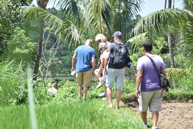 Tetebatu Walking Tour - Rice Terraces, Waterfall & Monkey Forest - Entering Tetebatu early, when the paths feel calm