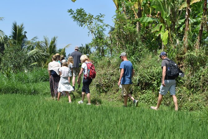 Tetebatu Walking Tour - Rice Terraces, Waterfall & Monkey Forest - Price and value: what $68 buys in a real day