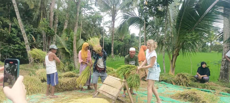 Tetebatu: Waterfalls, Spices, Rice Terrace, Monkey forest - Who should book this Tetebatu day tour