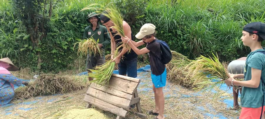 Tetebatu: Waterfalls, Spices, Rice Terrace, Monkey forest - Pickup, transport, and how rain changes the day