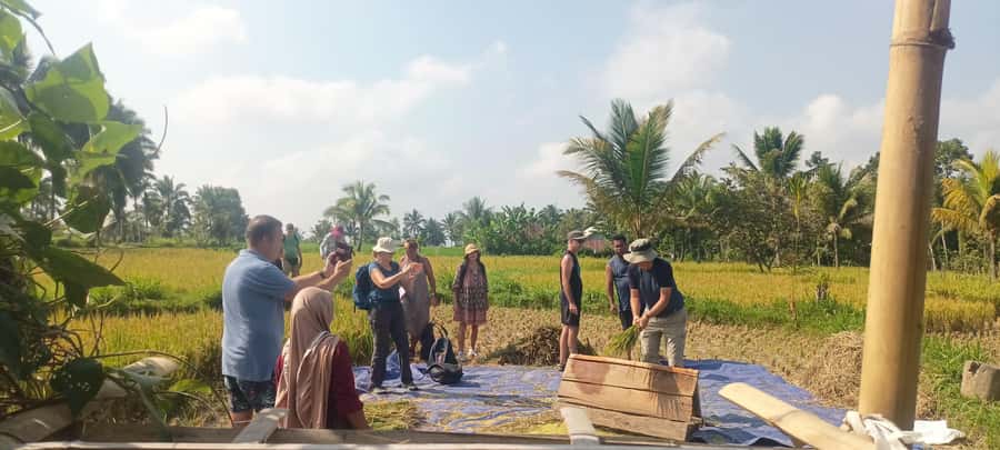 Tetebatu: Waterfalls, Spices, Rice Terrace, Monkey forest - Spice plantation walk: herbal sips, fruit stands, and practical farming talk