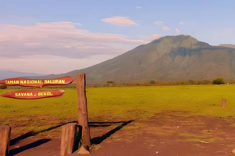 The Authentic Sunset Of Baluran National Park Banyuwangi - Bekol View Point and the Evergreen Forest: your first wildlife scan