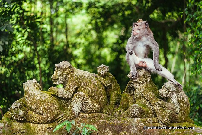 The Best of Ubud Tour and Jungle Swing - Tirta Empul Temple: plan for a full hour at a water temple