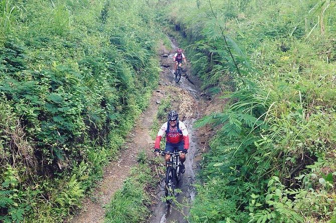 The Volcano Trail - Volcano Trail at a Glance: What You’re Really Paying For