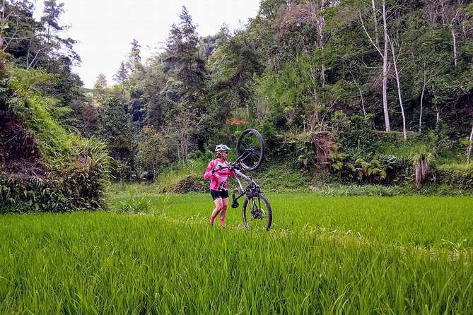 The Volcano Trail - Guides and Organization: Why People Keep Pointing to the Human Factor