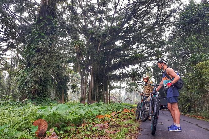 The Volcano Trail - Riding Section 1: Fast Flow Downhill on Volcanic Terrain