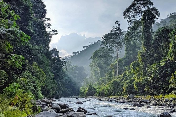 TOUR PACKAGE (jungle trekking, taxi, Room) 4 DAYS 3 NIGHTS in BUKIT LAWANG - Day 3: Trek continues, then traditional rafting back to Bukit Lawang