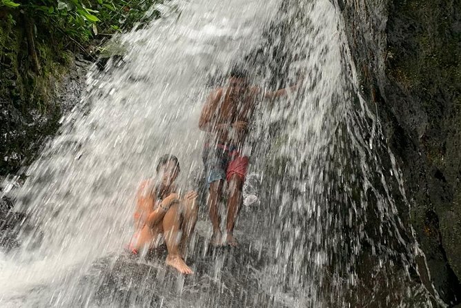 TOUR PACKAGE (jungle trekking, taxi, Room) 4 DAYS 3 NIGHTS in BUKIT LAWANG - Day 4: Return to Medan and end back at the meeting point