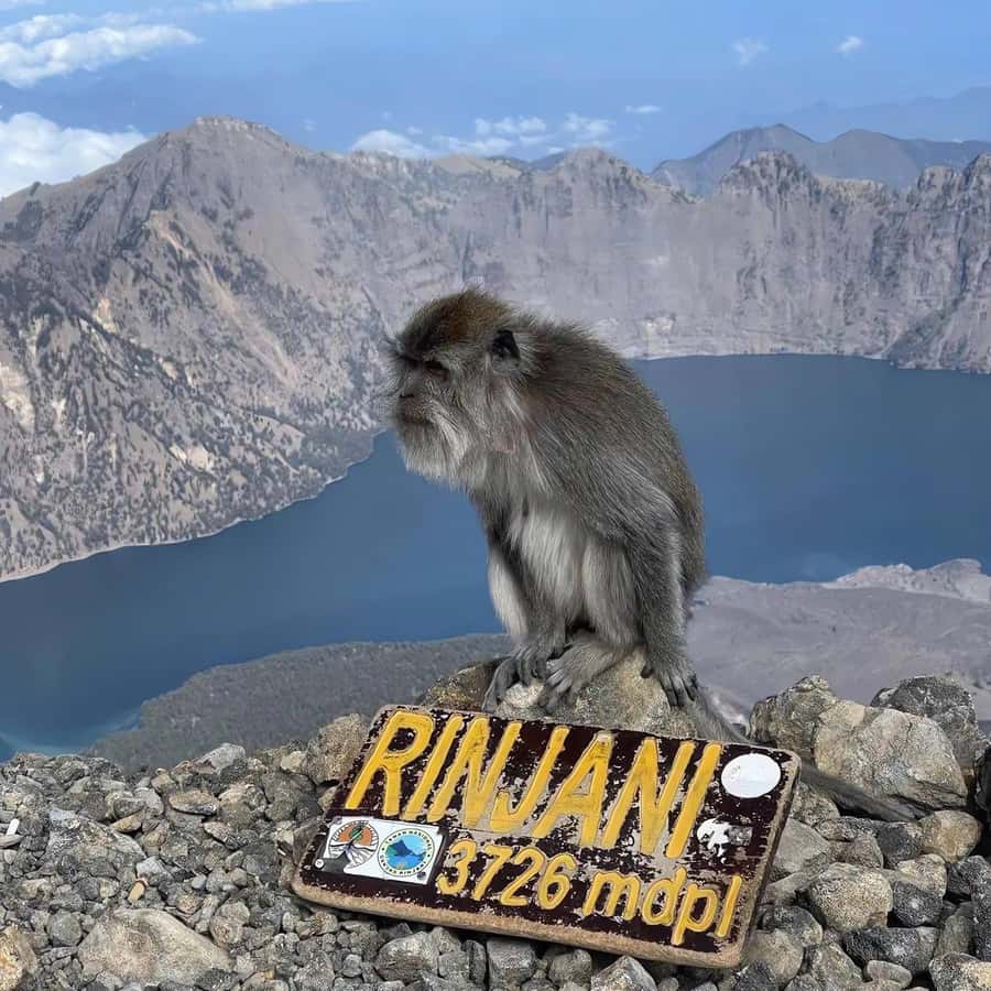 trekking mount rinjani summit join in group tour - Mount Rinjani from Sembalun, why this 2-day summit plan works