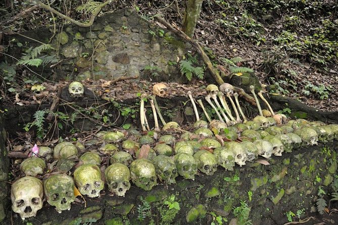 Trunyan Cemetery, Hot Spring, Penglipuran Village, and Waterfall Tour - A 10-hour route that turns culture and nature into one logical day
