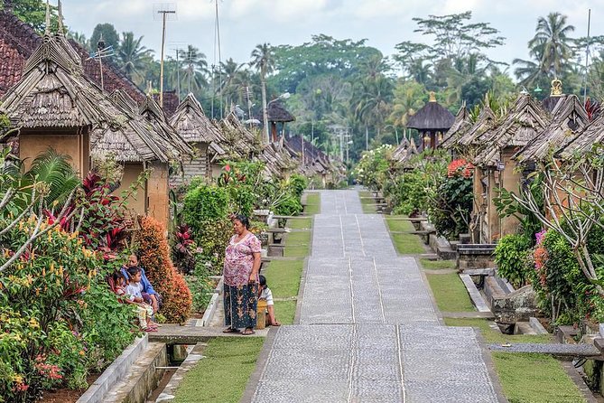 Trunyan Cemetery, Hot Spring, Penglipuran Village, and Waterfall Tour - Why this private guide experience feels different, especially with Mur