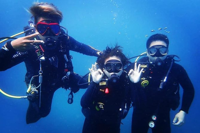 Try Diving in Manta Point - Nusa Penida - What your day looks like, from Sanur to the 4 PM donuts
