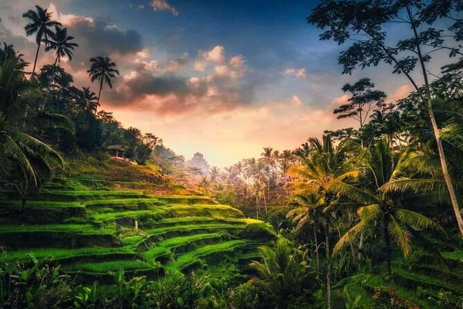 Ubud 1 Day Tour (Private & All-Inclusive) - Stop 5: Tegalalang Rice Terrace for iconic green steps near Ubud