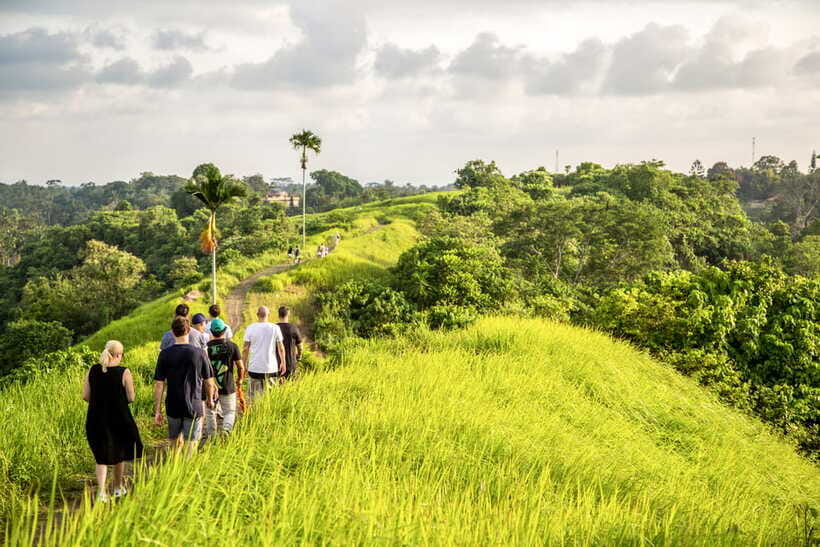 Ubud: 3-Hour Walking Tour with Lunch - Price and pickup details that affect real value