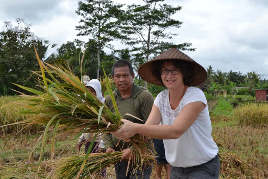 Ubud: 3-Hour Walking Tour with Lunch - Should you book this Ubud walking tour?