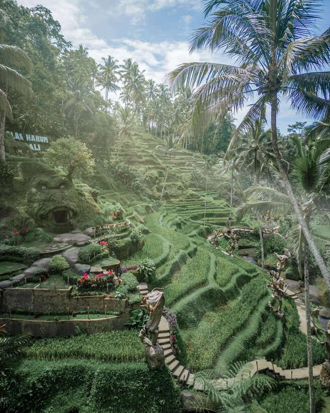 Ubud: Alas Harum Day-Pass, Swing, Sky Bike & Flying Fox - Walking the rice terraces, birdnest, and man-made caves