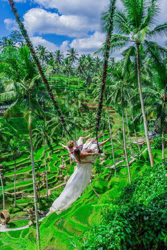 Ubud: Alas Harum Day-Pass, Swing, Sky Bike & Flying Fox - Cretya Ubud adult pools: your calm-down plan after the adrenaline
