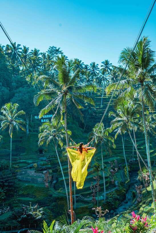 Ubud: Alas Harum Day-Pass, Swing, Sky Bike & Flying Fox - Who should book this, and who should skip it