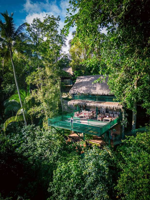 Ubud: Alas Harum Day-Pass, Swing, Sky Bike & Flying Fox - Swing, Sky Bike, Flying Fox: the thrill rides and their limits