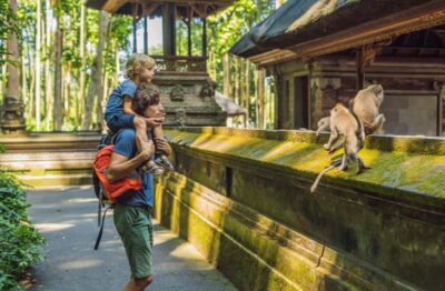 All-Inclusive Tour with Optional Lunch