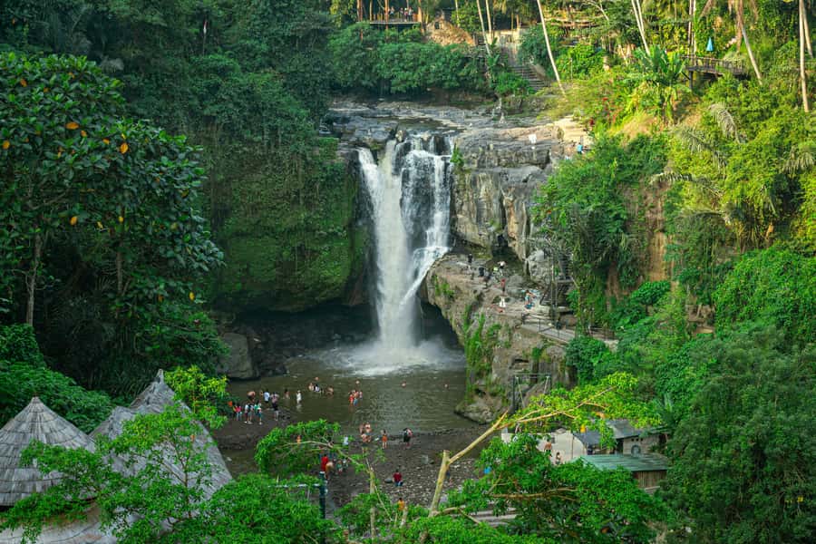 Ubud: All-Inclusive Tour with Optional Lunch - How the day feels: pacing, driving time, and walking realities