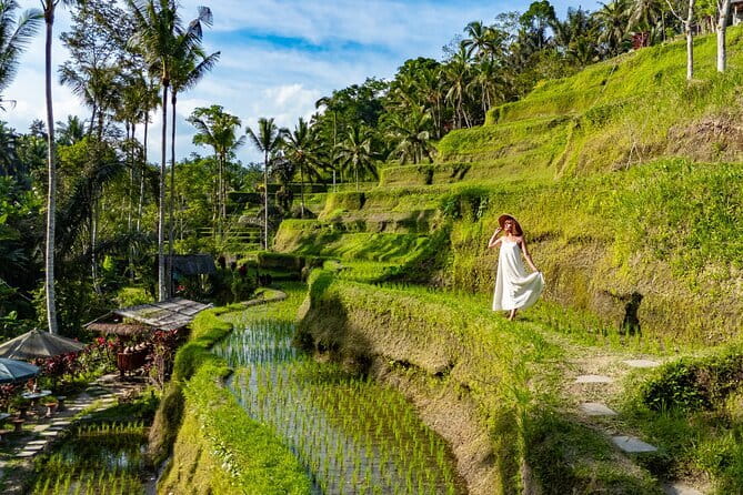 Ubud All-Inclusive Tour with Swing and Lunch - Key Highlights You’ll Actually Feel