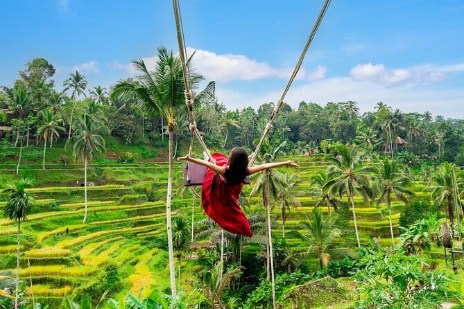 Ubud All-Inclusive Tour with Swing and Lunch - Why This Ubud All-Inclusive Day Feels Worth It
