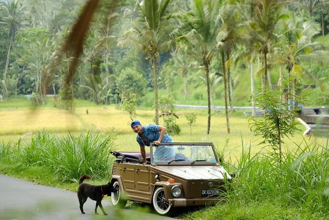 Ubud All-Inclusive Tour with Swing and Lunch - Start Time, Route Feel, and How the 9 Hours Likely Land