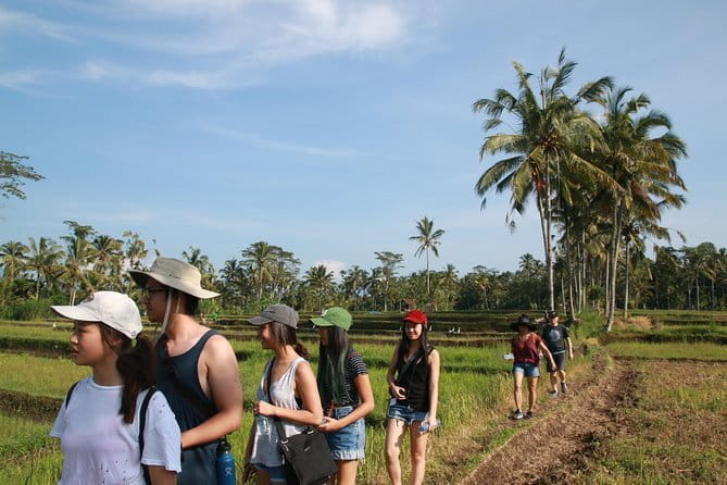 Ubud All-Inclusive Tour with Swing and Lunch - Tegenungan Waterfall: Lush Views and Photo Moments