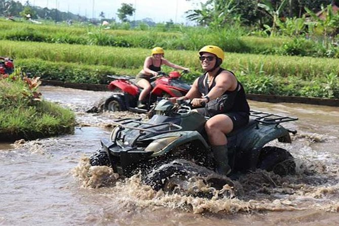 Ubud ATV Quad Bike, Monkey Forest and Rice Terrace - Sacred Monkey Forest Sanctuary: temple jungle in about an hour