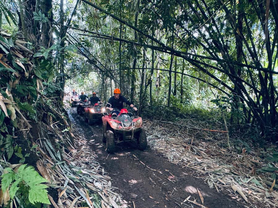 Ubud: ATV Quad Bike & Zip-Line Adventure with Meal - Who should book and who should skip this Ubud adventure