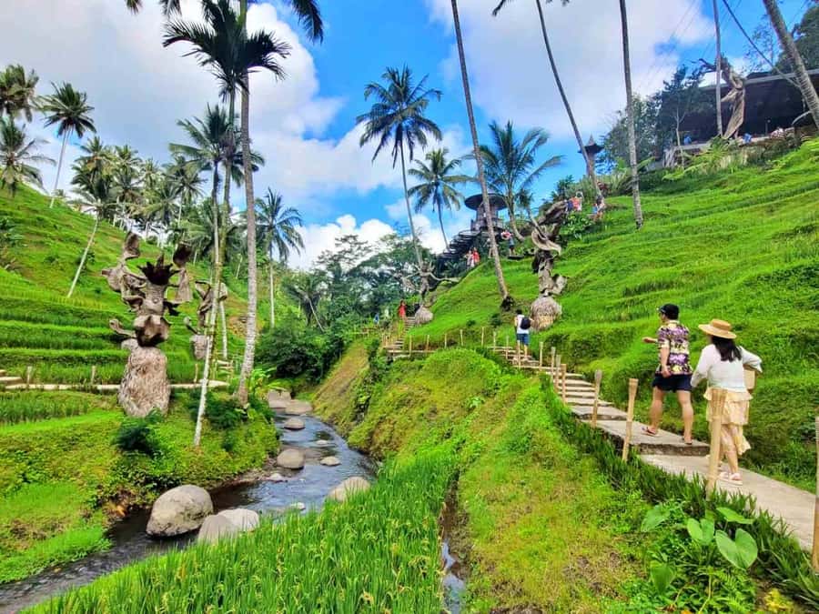Ubud: ATV Quad Bike, Zip-line and Cretya Alas Harum Tour - Who should book this, and who should skip it